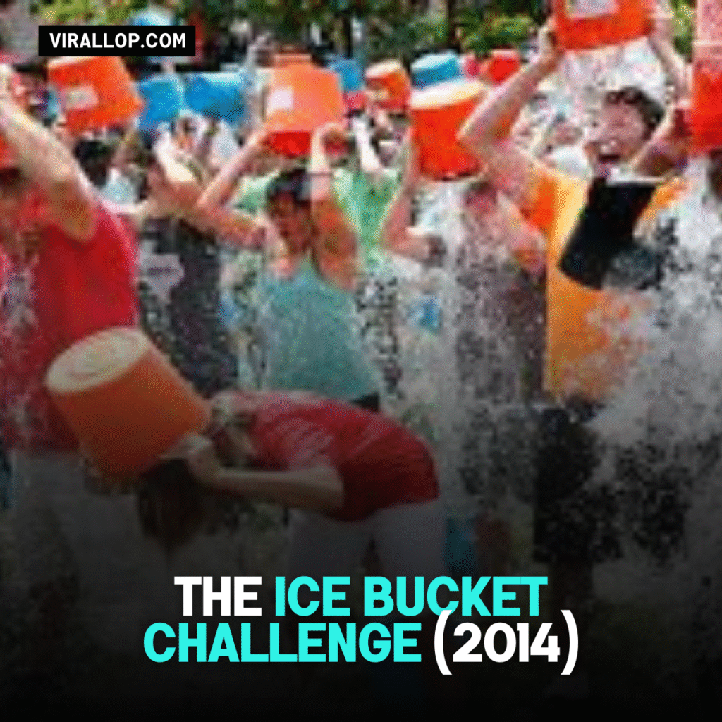 The Ice Bucket Challenge (2014)