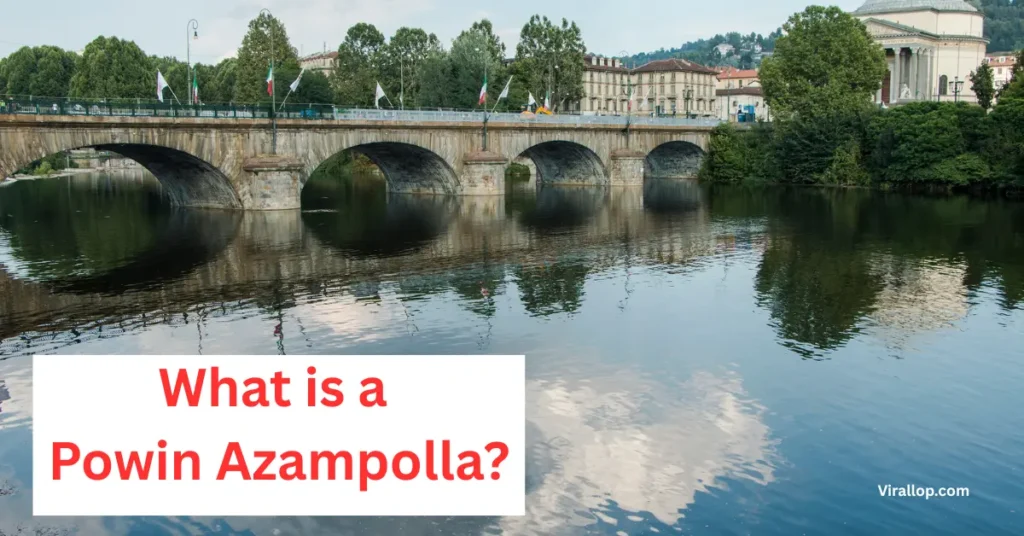 What Is a Powin Azampolla?