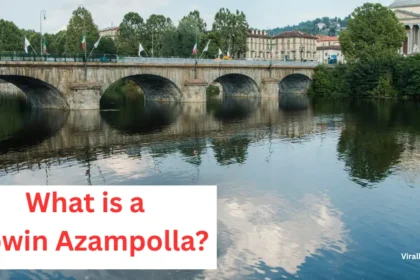 What Is a Powin Azampolla?