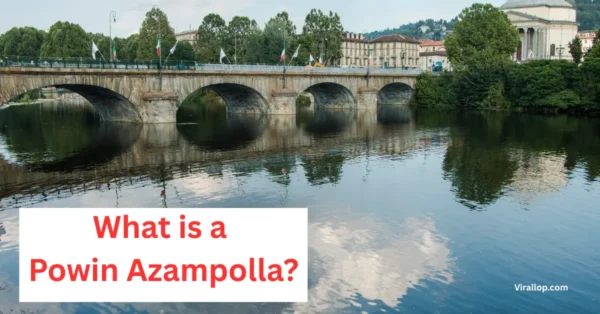 What Is a Powin Azampolla?