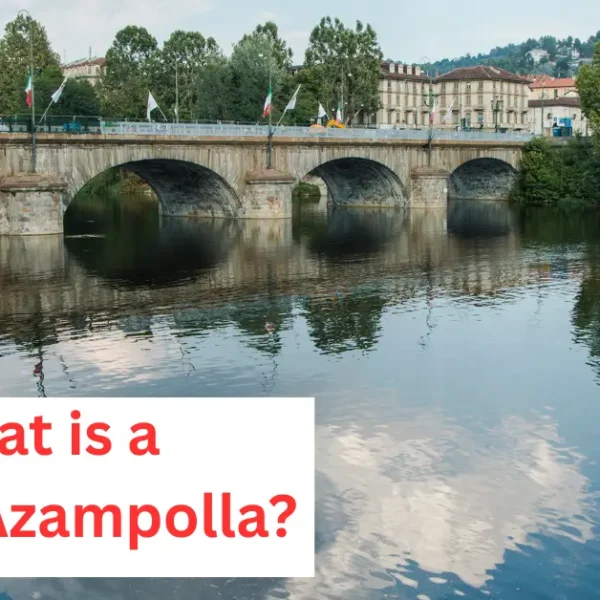 What Is a Powin Azampolla?