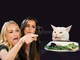 Woman Yelling at a Cat (2019)