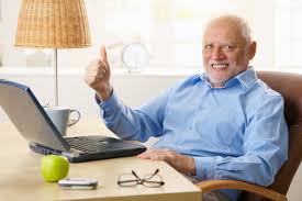 Hide the Pain Harold